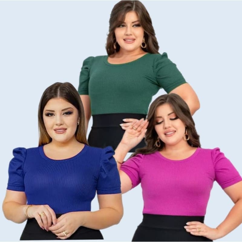 Blusa feminina evangélica kit 3 blusas manga curta princesa canelada