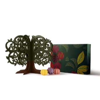 Presente Natura Ekos árvore colheita