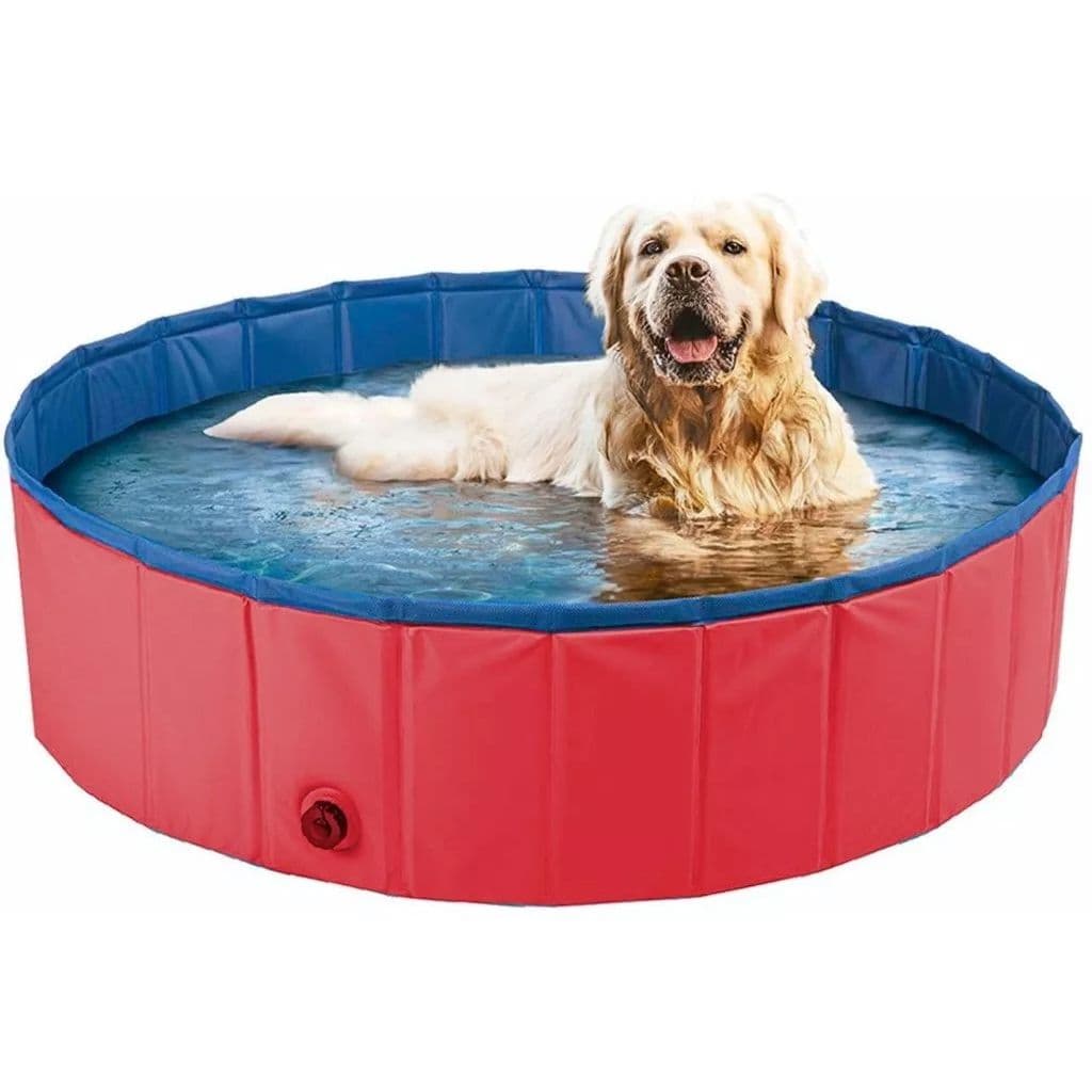 Piscina Banheira Para Cachorro Pets Verão Resistente 80x20
