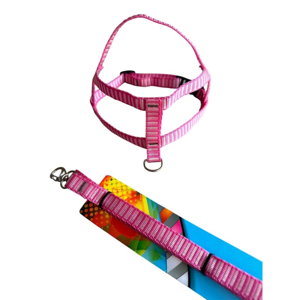 conjunto de peitoral com a guia e coleira com o nome do seu cachorro ou gato