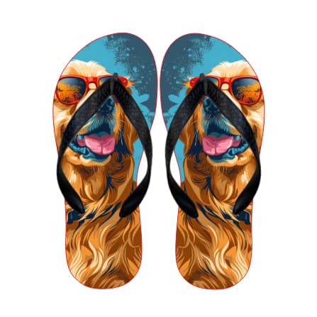 Chinelo pet Lançamento Top Unissex Promoção Sandalia