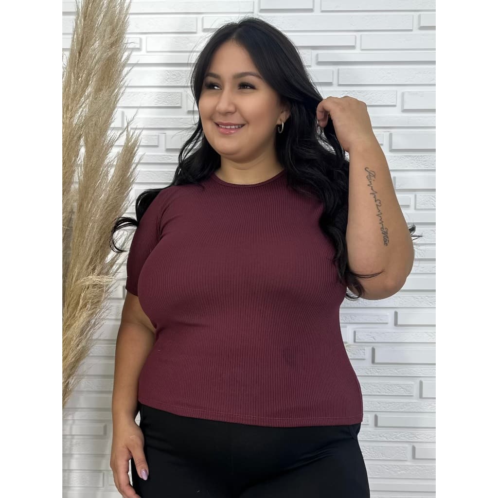 Blusa plus size Canelada feminina Básica com Manga Gola Redonda dia a dia confortavel malha fria