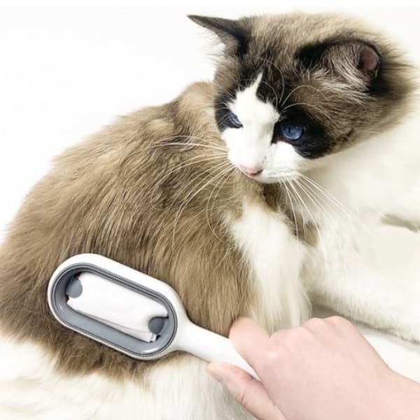 1 Unidade Aparador De Silicone ReutilizáVel Para CãEs E Gatos, Aparador De Escova Multifuncional Para Animais De Estimaç
