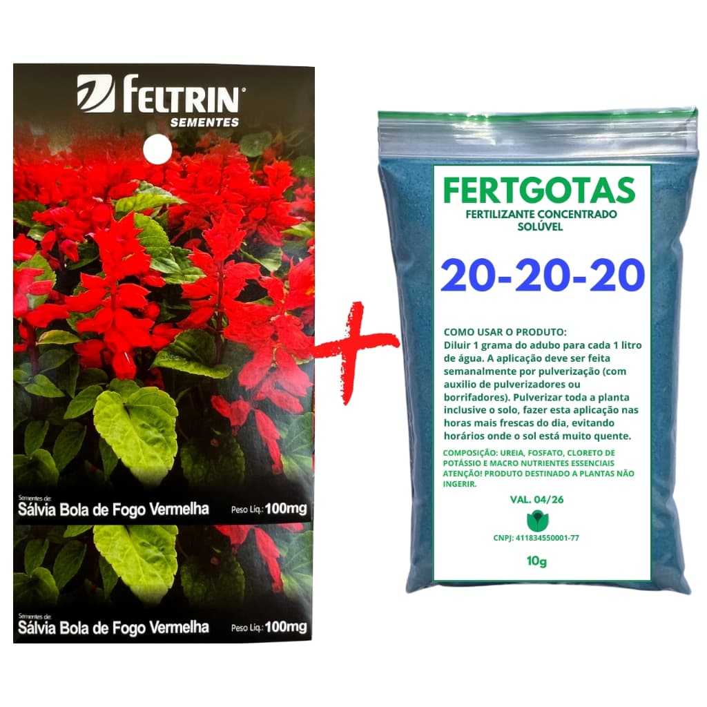 Até 75 Sementes de Salvia Bola de Fogo - Feltrin + Fertilizante Solúvel 20-20-20