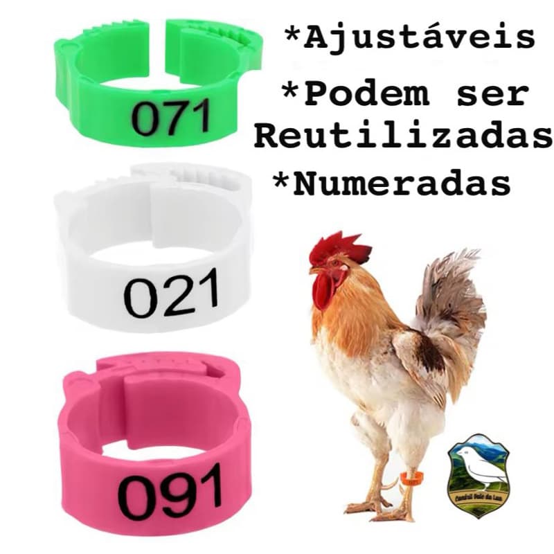 10 Anilhas numeradas ajustáveis para aves adultas : galos, galinhas, frangos, pavão, faizao, etc