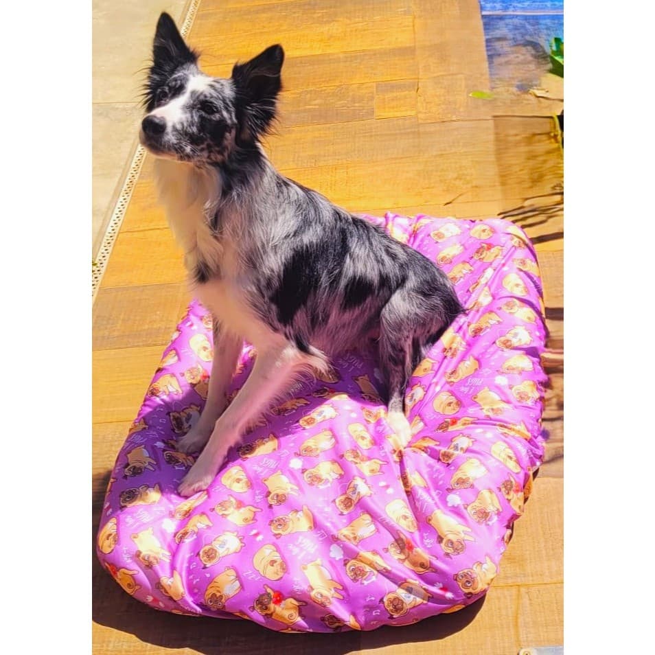Lençóis Pets Novidade Renove o Espaço do seu Pet Diariamente. Caminha Limpa. Práticos, Higiênicos, Beleza e Proteção.