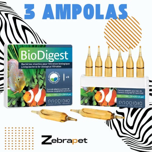 Prodibio BioDigest - Acelerador Biológico - 3 Ampolas