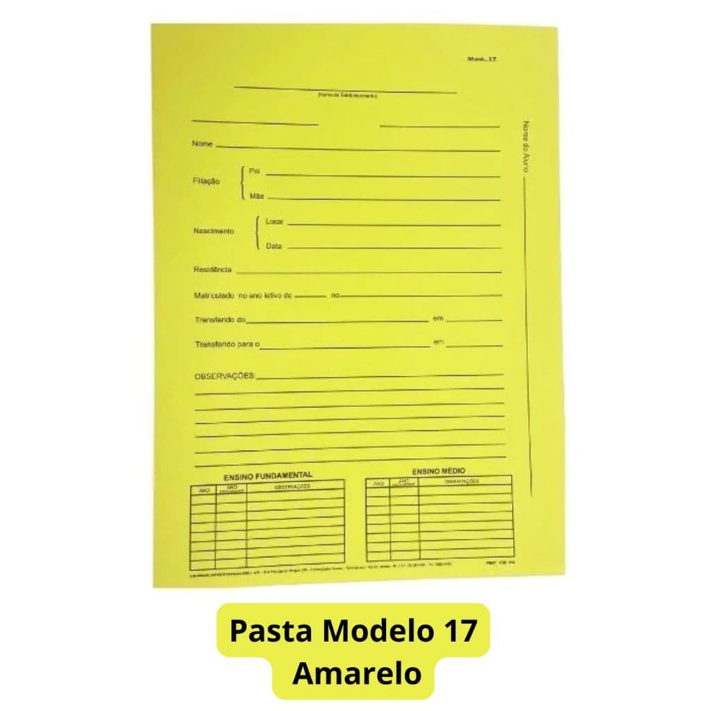Pasta Modelo 17 Para Colégio Cores Variadas Azul Rosa Amarelo e Verde