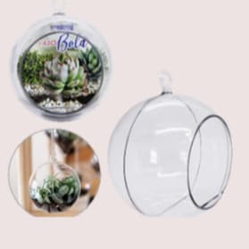 Vaso Bola Terrário Suspenso Decorativo para Suculentas Ornamentais Ambiente