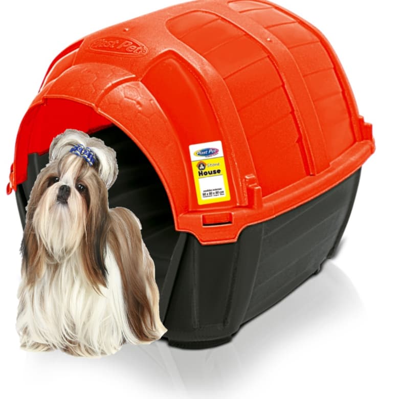 Casinha De Shitzu Pincher York Shire Pug Raças Pequenas