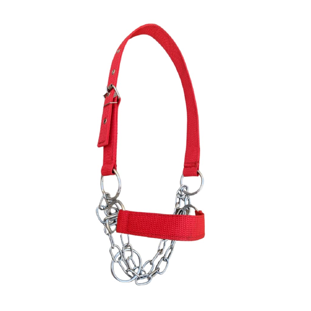 Cabresto Para Vaca E Boi De Fita Com Corrente De Ferro Com Regulagem