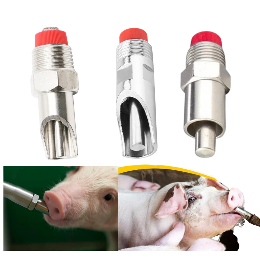 Bebedouro Bico Chupeta Bebedouro Porco Automático Terminação Inox