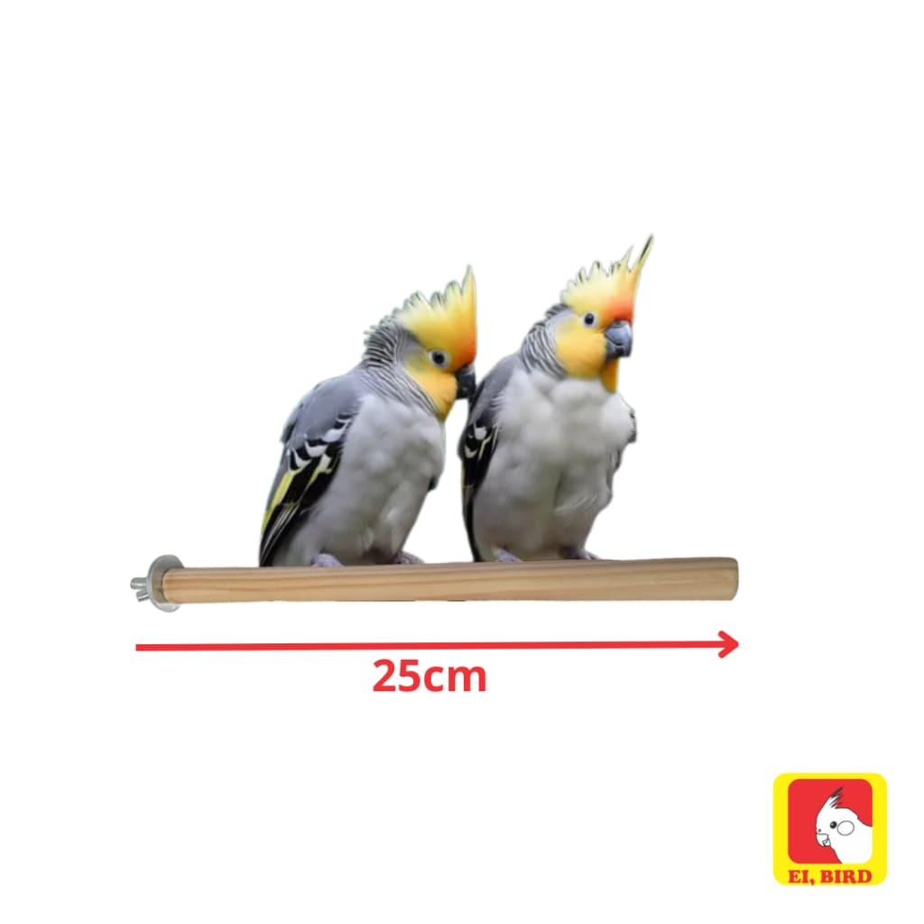 Poleiro tradicional 25cm p calopsita, periquito, agapornis - Madeira natural 100% ecológica Ei Bird
