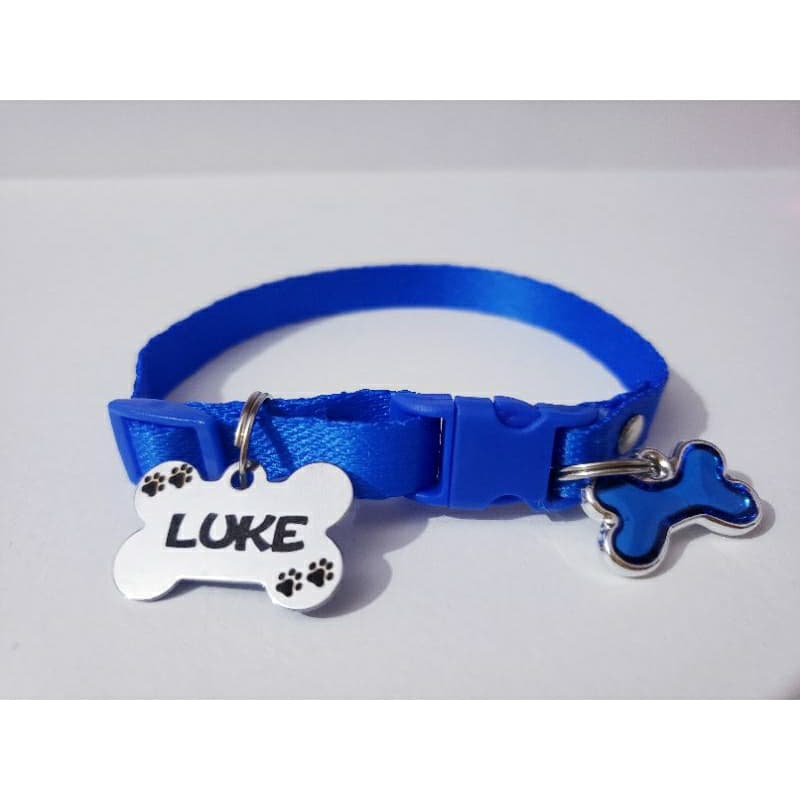 Coleira para pinscher  0, 1, 2  e cachorro mini com plaquinha de identificação