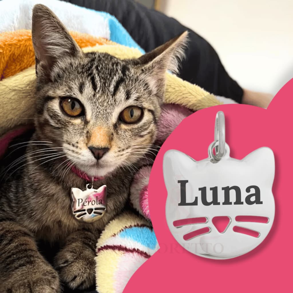 Plaquinha de identificação Pet para Coleira Personalizada Gato ou Cachorro Telefone e Nome