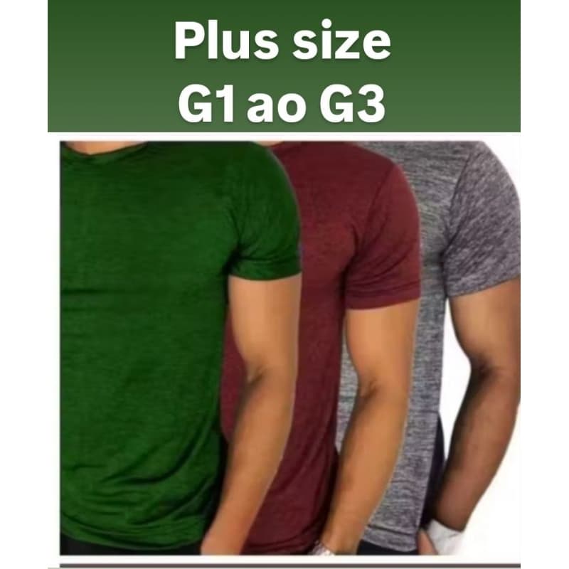 Kit 3 Camisetas PLUS SIZE MESCLA. G1 ao G3. Uso casual e esportivo.