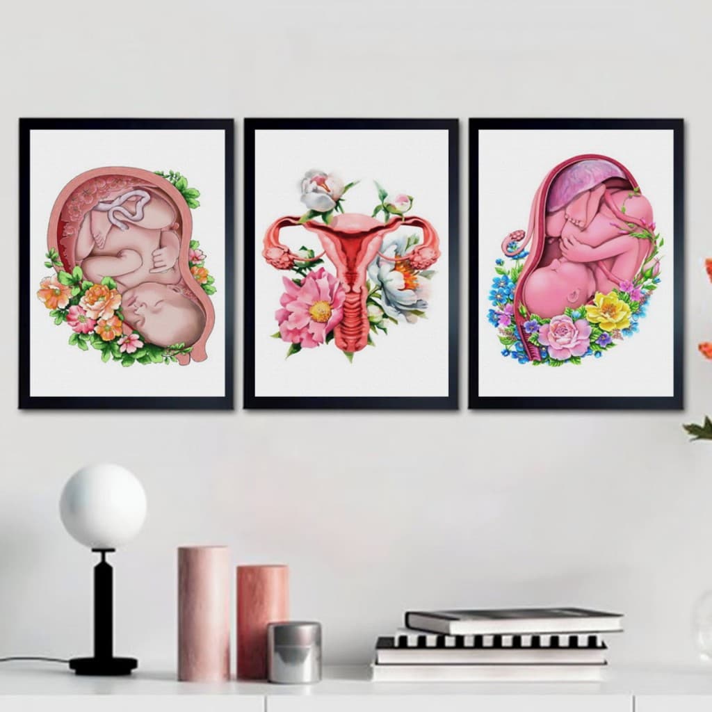 Quadros  decorativos Consultório Médico -obstetrícia-ginecologia