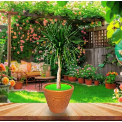 Vaso para Planta em Cerâmica Cachepot De Barro Para Plantas Grandes Vaso Decorativo