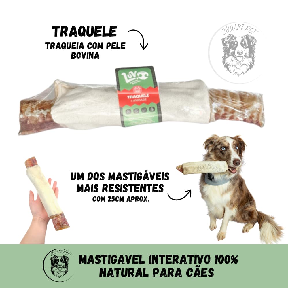Traquele Traqueia e Pele Bovina Mordedor 100% Natural Para Cães - 1 Unidade Luv Petiscos