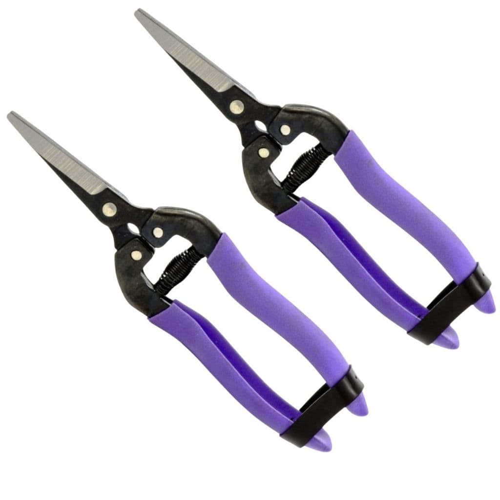 Kit 2 Tesouras Colheita Poda Ponta Reta Alicate Cabo Emborrachado Mola 18cm PALISAD