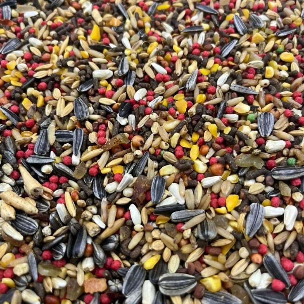 Mistura de Sementes Para Trinca Ferro Pássaros Sabor Pimenta Ração Aves Marca Flamingos 5 Kg