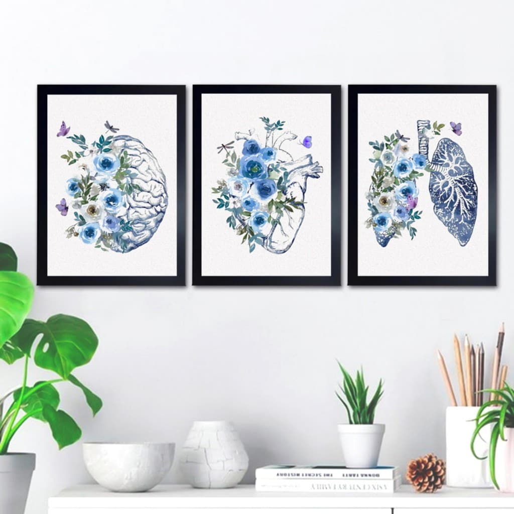 quadro decorativo Medicina Consultório Médico Anatomia Enfermagem