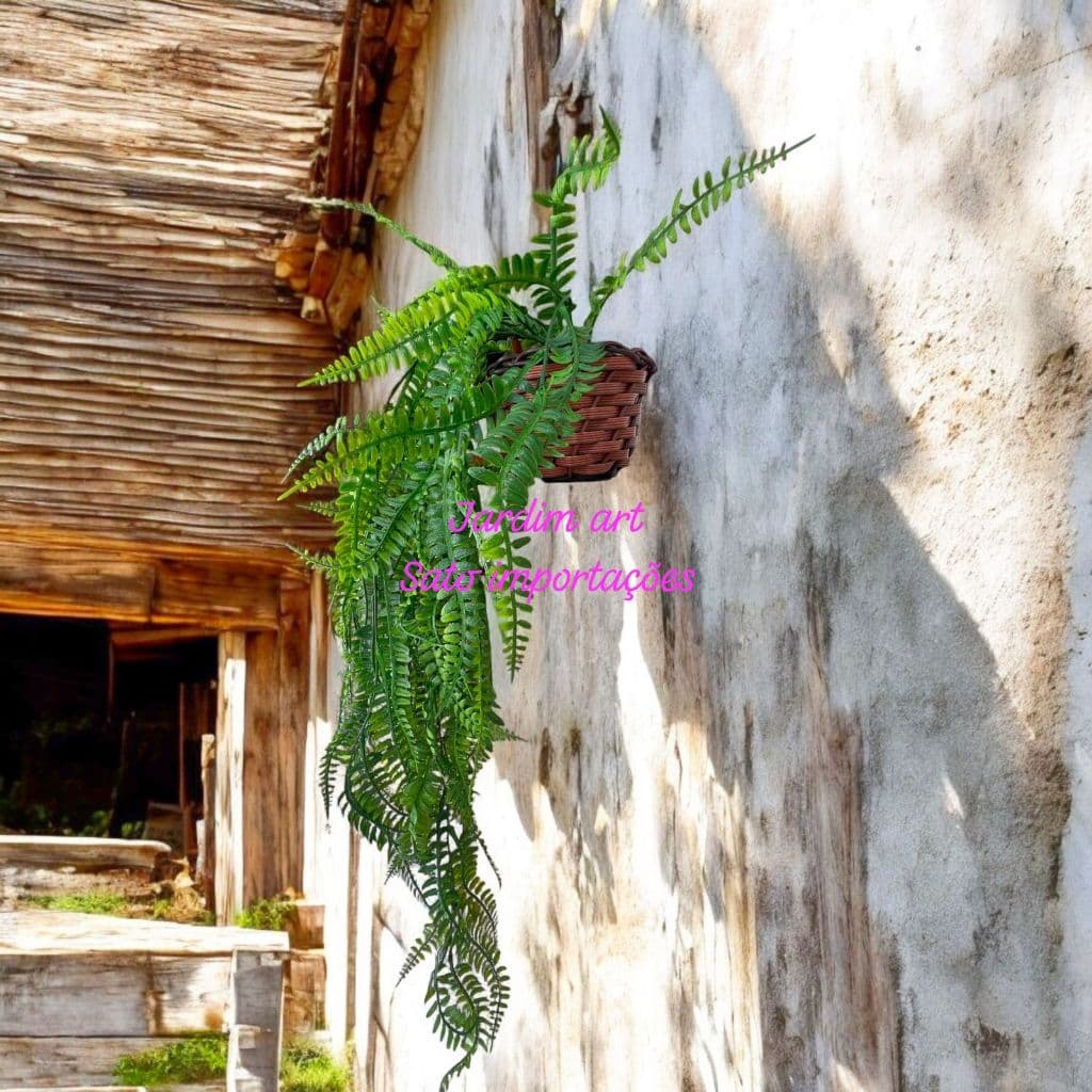 Samambaia Pendente Verde 80cm + Vaso Cesto Trançado