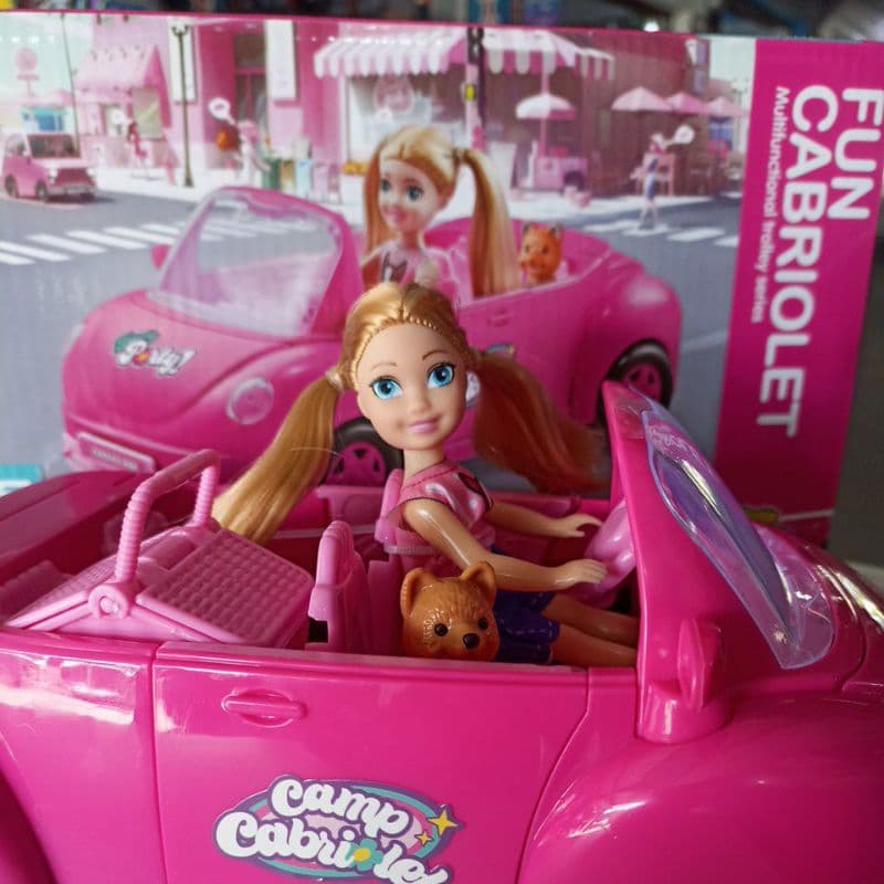 CABRIOLET car pets