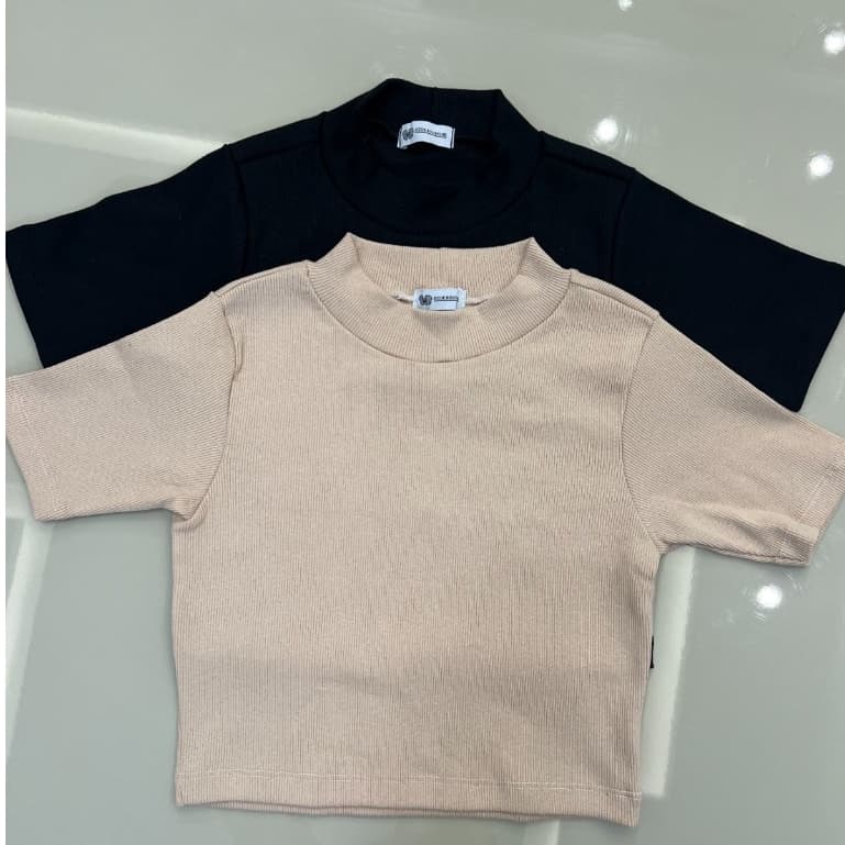 Kit 2 Blusas Feminina Básica Casual Com Malha Canelada Vérsatil Cores Sortidas