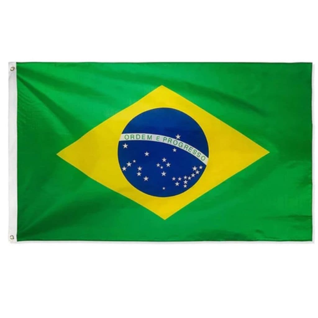 Bandeira do Brasil Oficial Mastro C/Anilhas 90x60 Cm Cores Fortes
