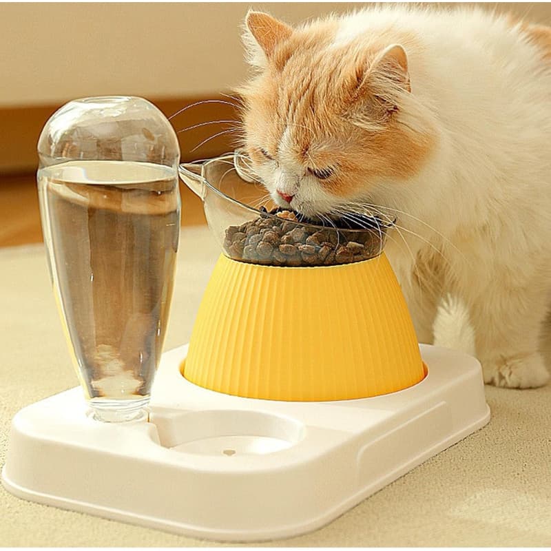 Comedouro e Bebedouro 2 em 1 Para Gatos e Cachorros Com Comedouro Elevado