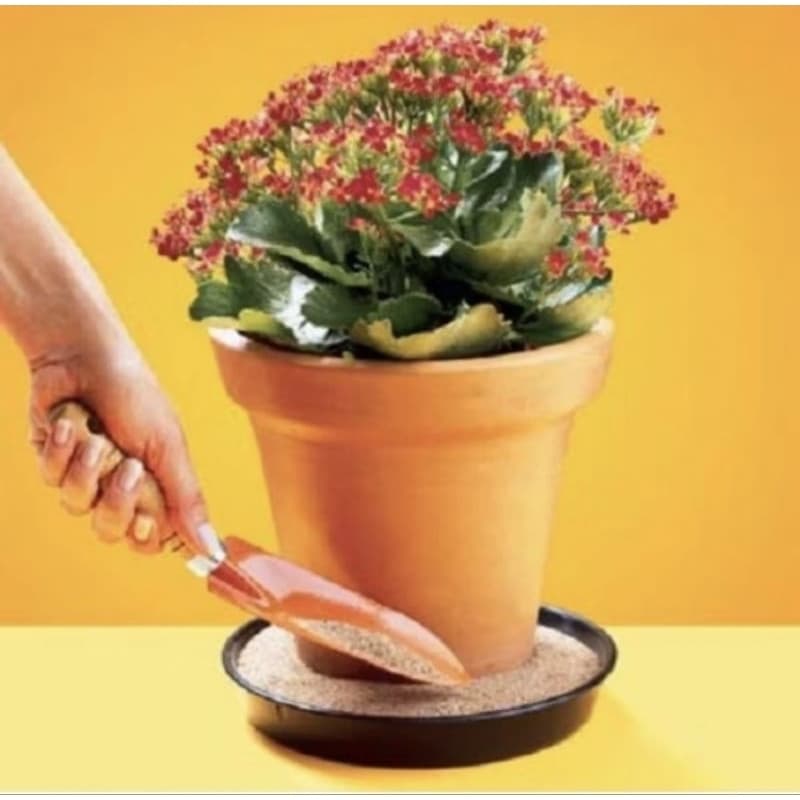 5 kg. areia media lavada para uso geral pequenos reparos artesanato  e vaso de plantas  embalagem com 5 kilos