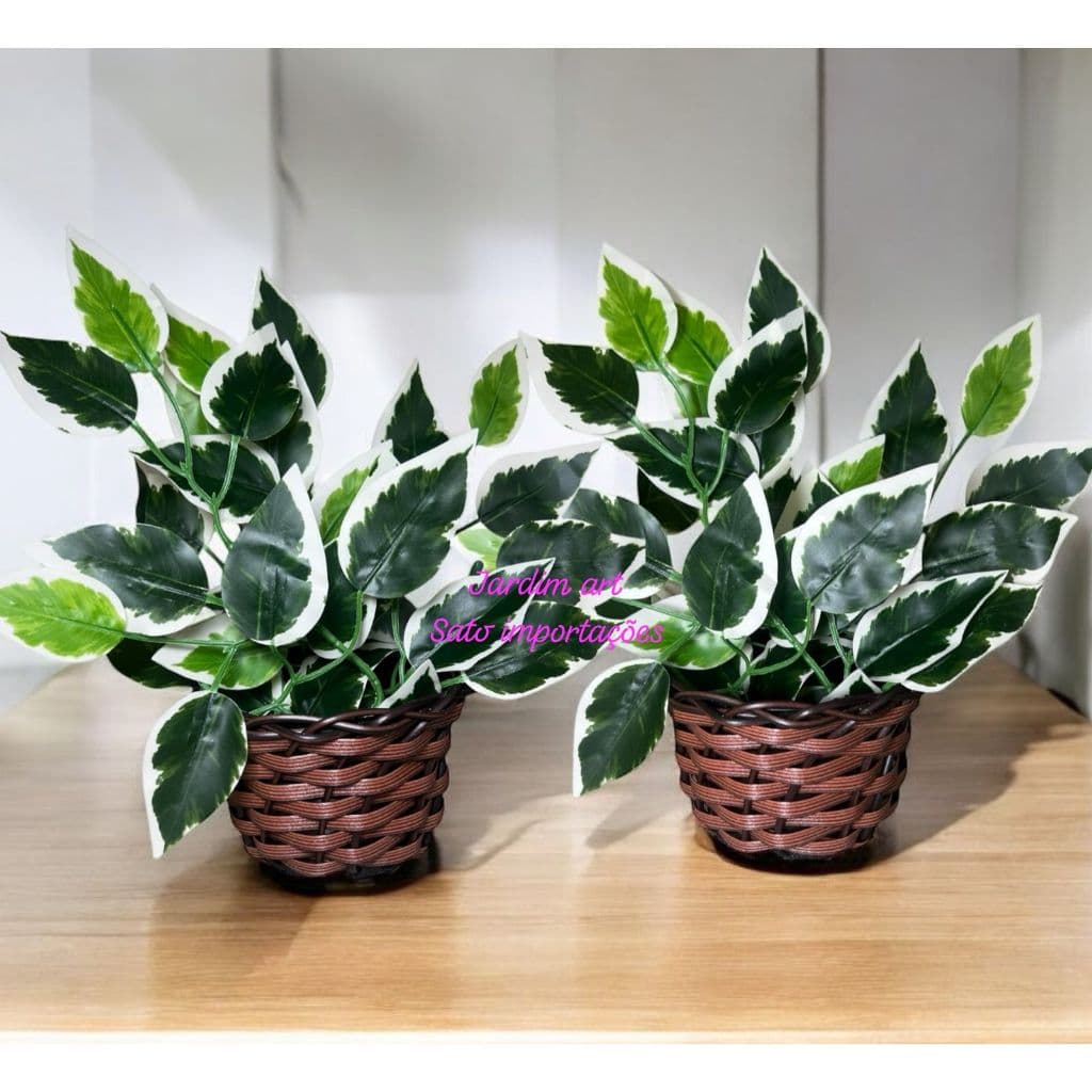 Kit com 2 Vasos Trançados e Folhagem de Ficus Realista