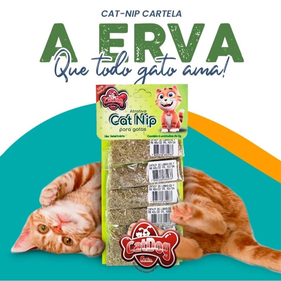 kit cartela 6 unidades 2g Catnip A Erva para Gato CatDog Atrativo Natural Pet