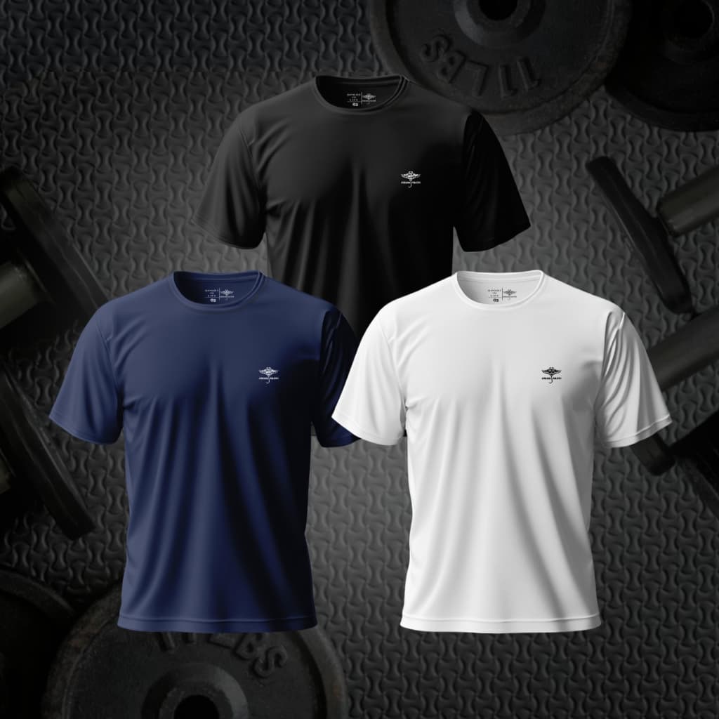 Kit 3 Camisetas Masculina Dry Fit Básico Passeio Academia