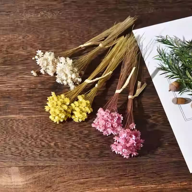 150  Flores Sempre Viva Desidratada