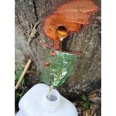 kit 12 UNIDADES de Pomada óleo Copaíba Curador 20g, latinha original amazonia tira dores envio de brasilia
