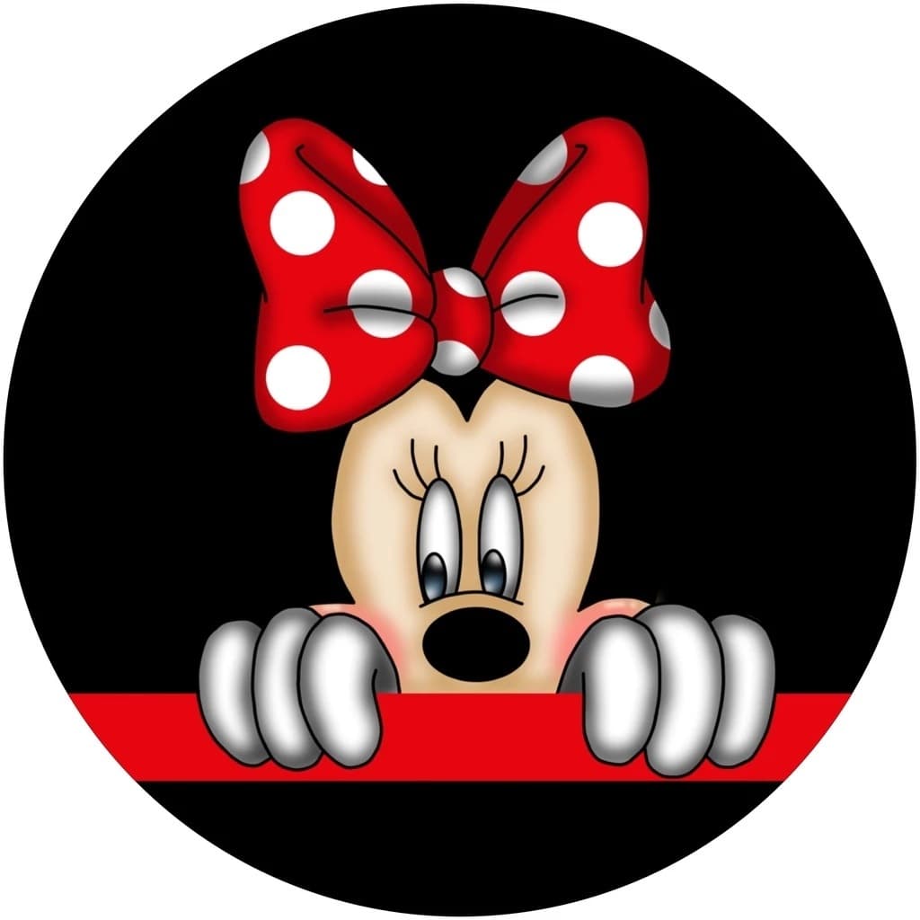 Capa De Estepe Ecosport Crossfox Aircross Spin Minnie Mouse