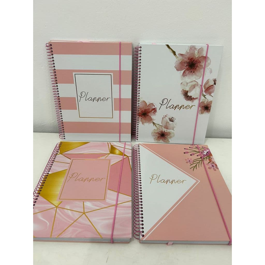 Agenda Planner Planejamento Anual Cores