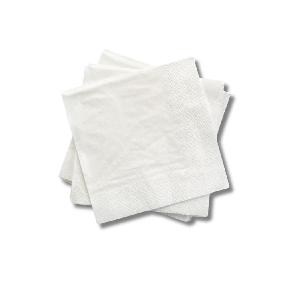 Guardanapo De Papel 24x22 Folha Dupla Gourmet - 500 Un
