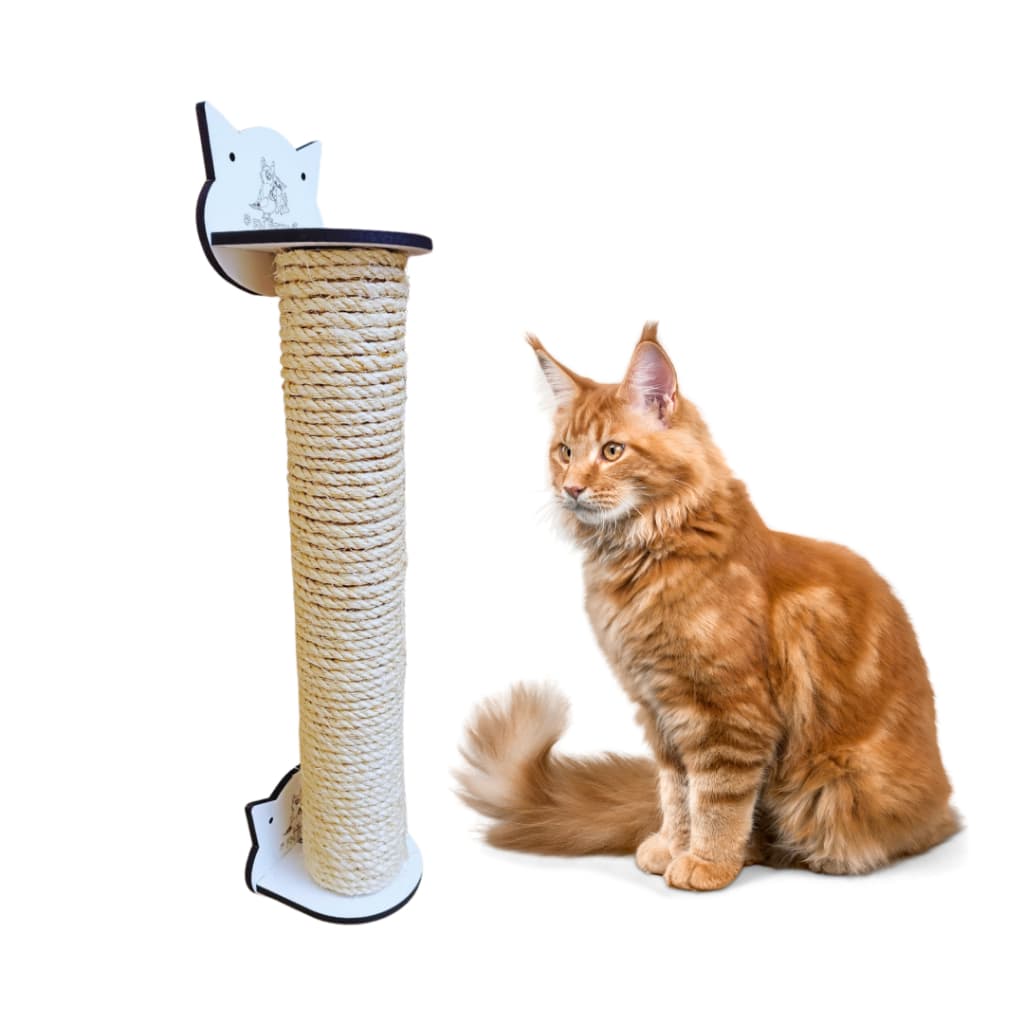 arranhador gato de parede, para gatos unha e proteção de sofá playground interativo acessórios pet