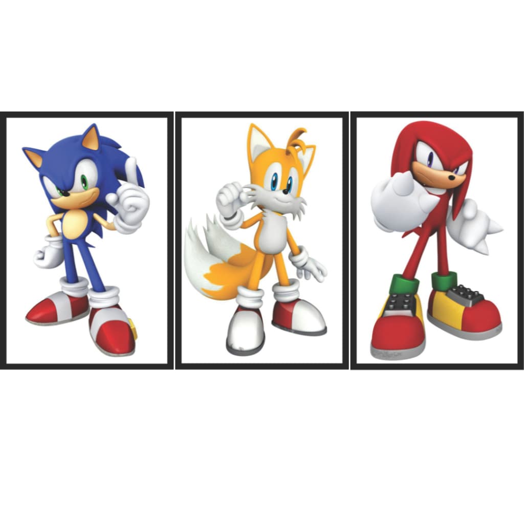 Quadros Personagens do Sonic Coleção Estilo Animação - Imperdível!