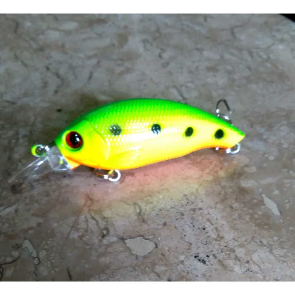 Isca Artificial Para Pesca Em Meia Água para peixes predadores Traíras,Aruanã,Tucunaré etc...