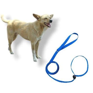 Coleira Guia unificada Adestramento Passeio para Pet Cachorro Pequeno Médio Porte