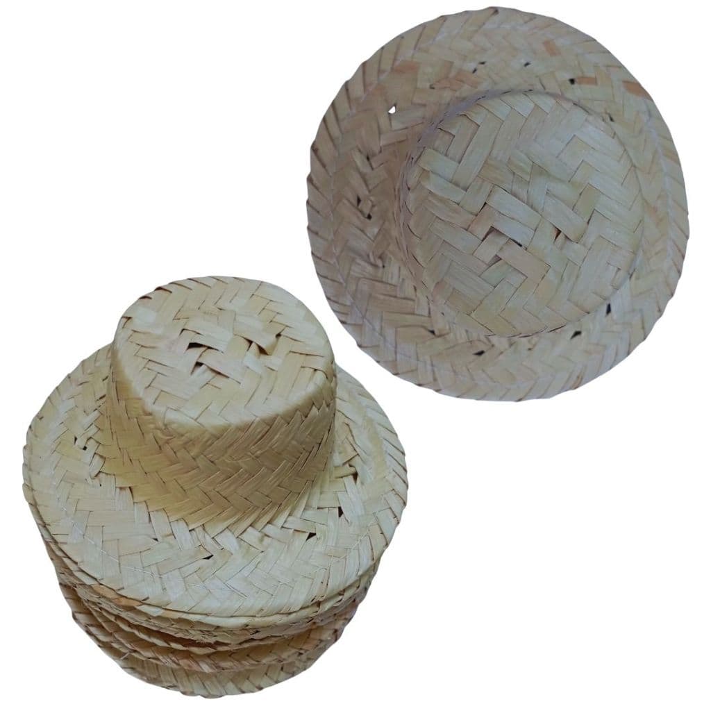 Mini Chapéu de Palha | Aba Curta (GRANDE 12cm) | Festa Junina Arranjo Fazendinha Arranjos