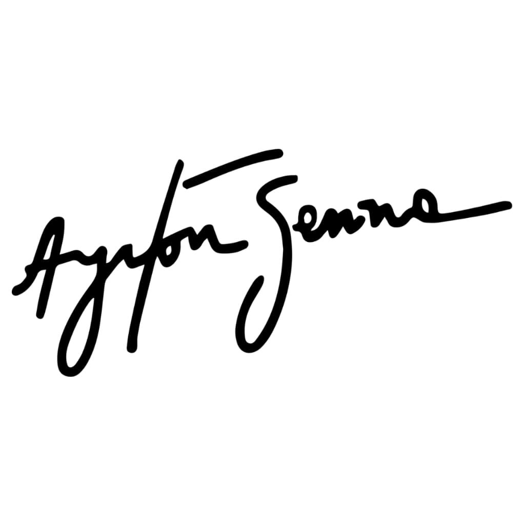 Adesivo Airton Senna Assinatura - piloto - carro - moto - Formula1