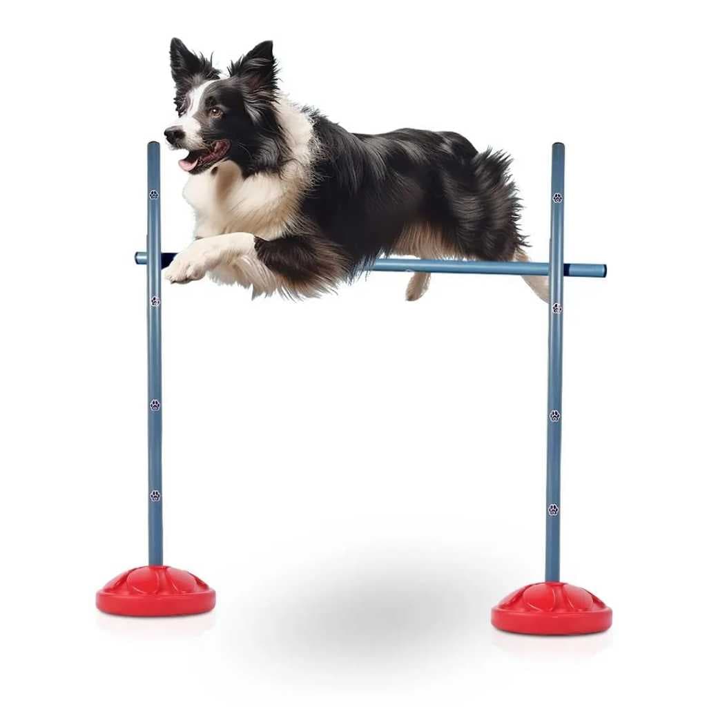 1 Salto Grande Com Barras De 1m Para - Agility - Adestramento e Recreação - Border Collie