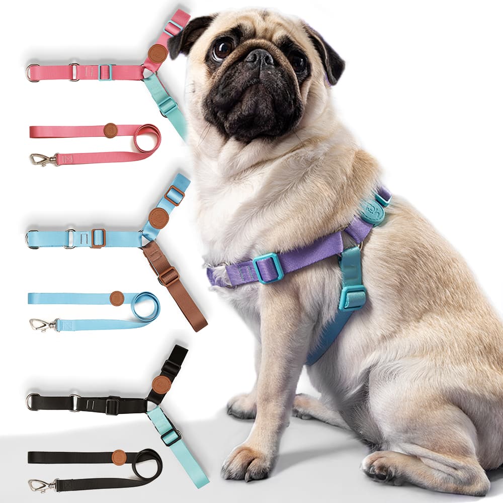 Conjunto Coleira Com Guia Antipuxão Adestramento Kit Premium Toh Pet Para de Cães Cachorros
