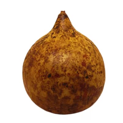 Cabaça Artesanato Para Berimbau Cuia De Porongo Seca Coité de Alta Qualidade Envio Rapida