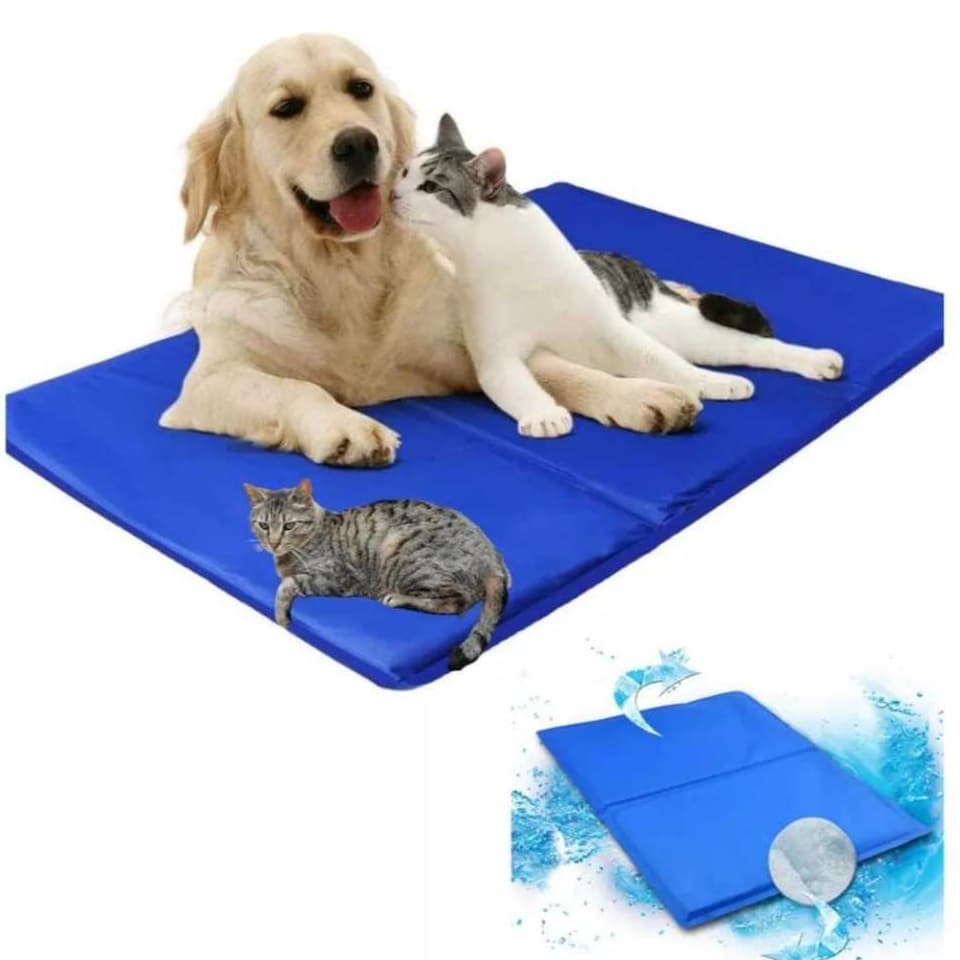 Tapete Refrescante Pet Cachorro Cães Gatos Gelado 40X50 cm - Envio Imediato -